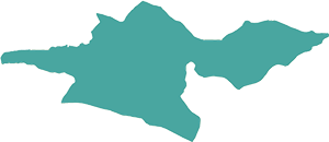 تهران