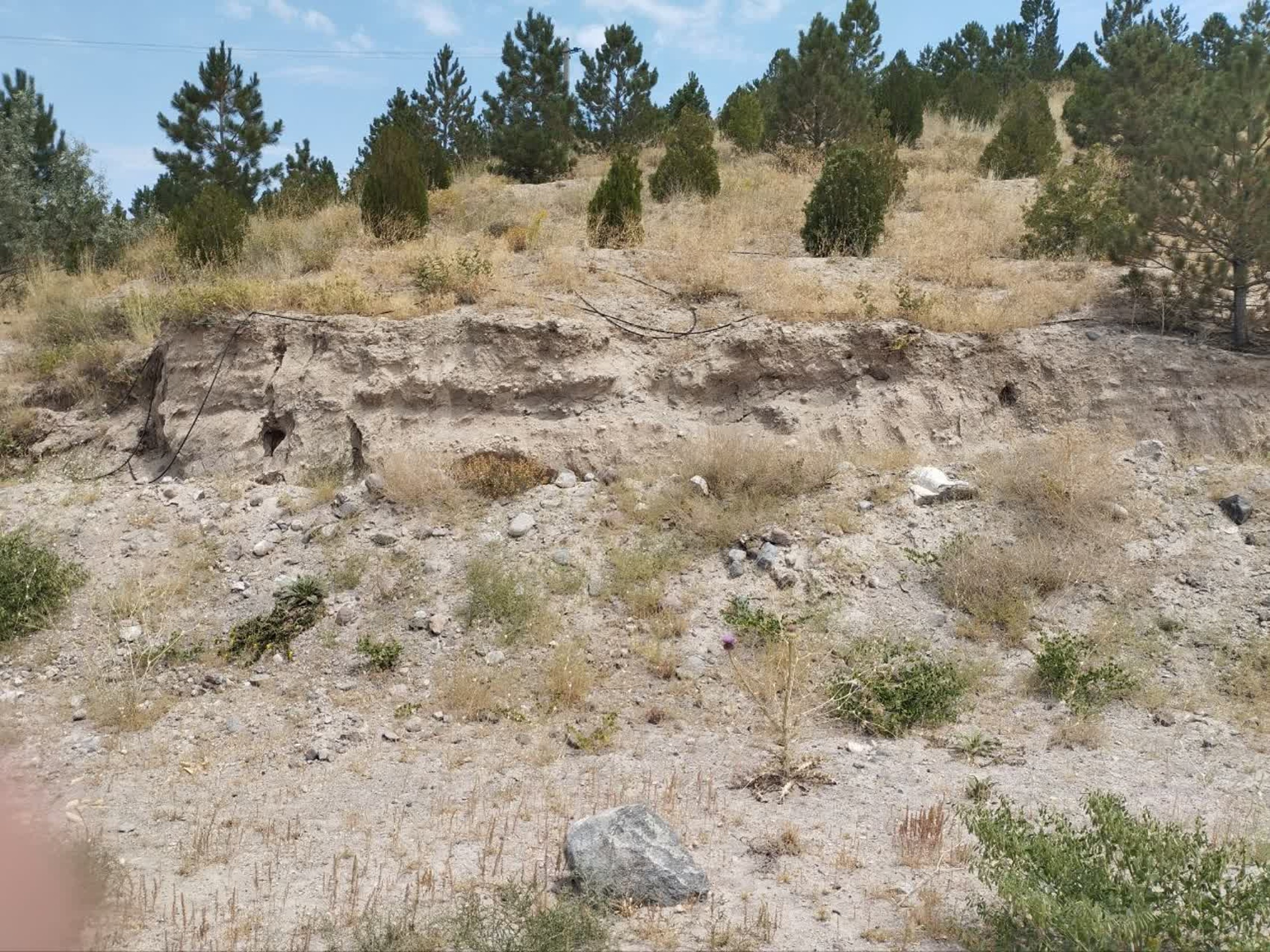 تصاویر زمین اختصاصی پروژه خوابگاه متاهلی