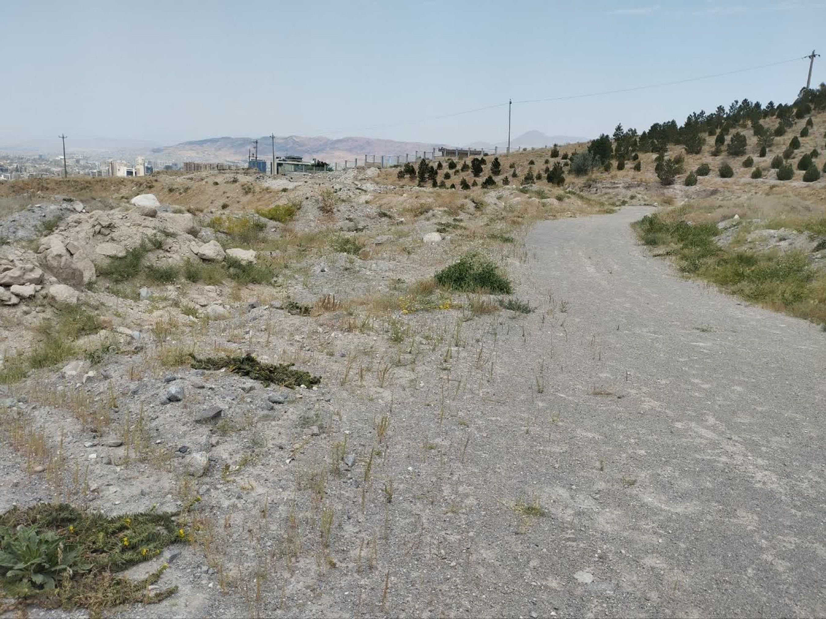 تصاویر زمین اختصاصی پروژه خوابگاه متاهلی