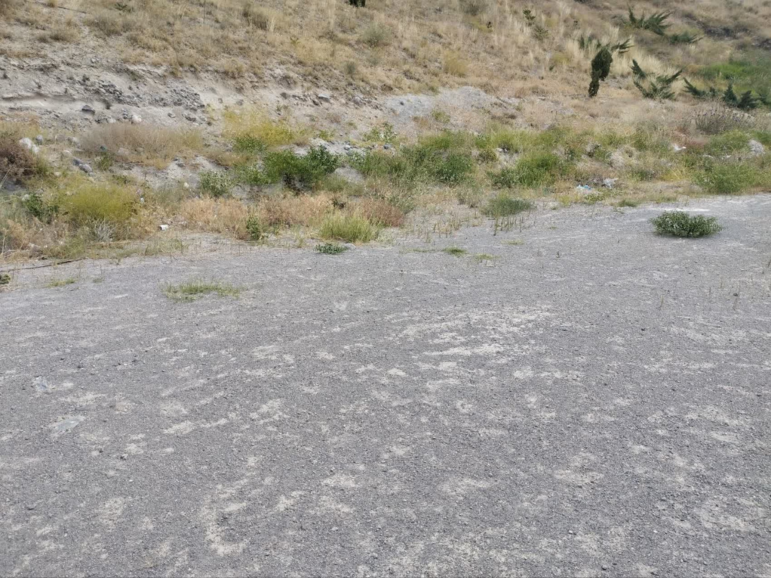 تصاویر زمین اختصاصی پروژه خوابگاه متاهلی