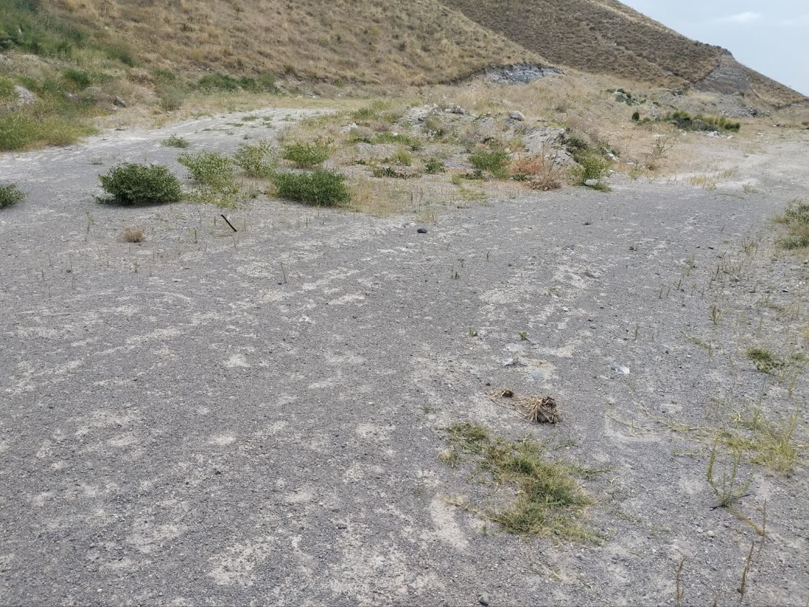 تصاویر زمین اختصاصی پروژه خوابگاه متاهلی