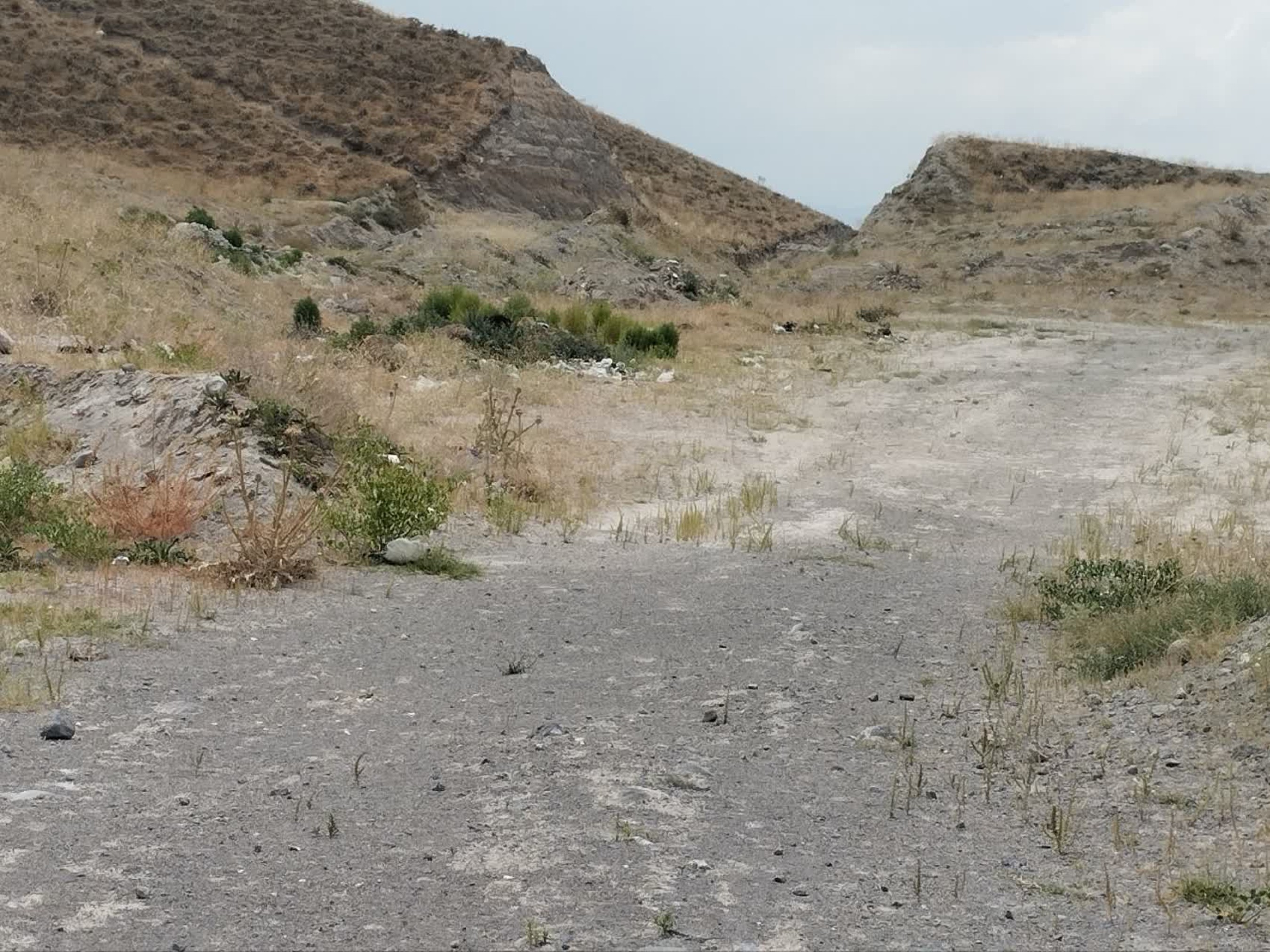 تصاویر زمین اختصاصی پروژه خوابگاه متاهلی