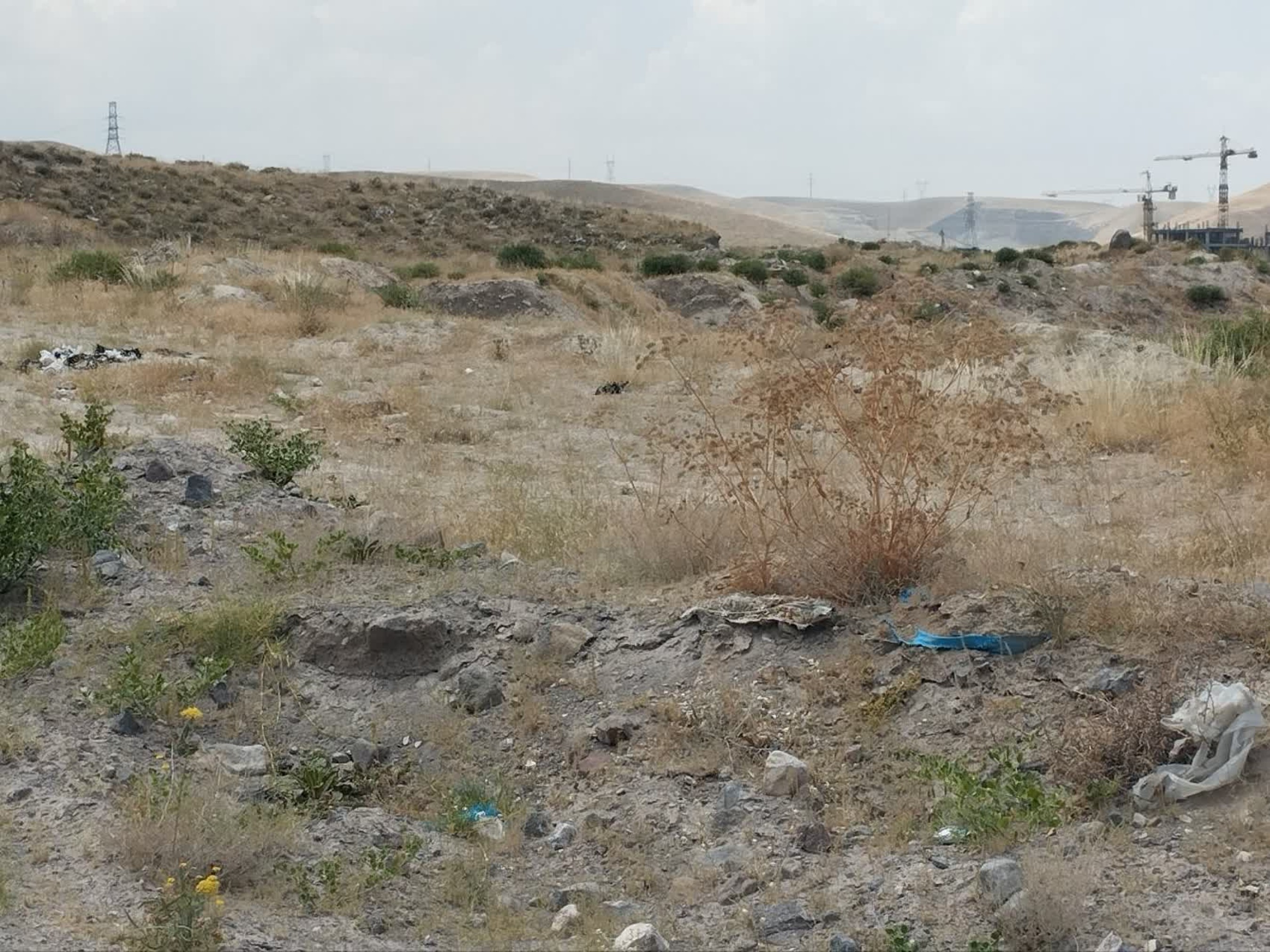 تصاویر زمین اختصاصی پروژه خوابگاه متاهلی