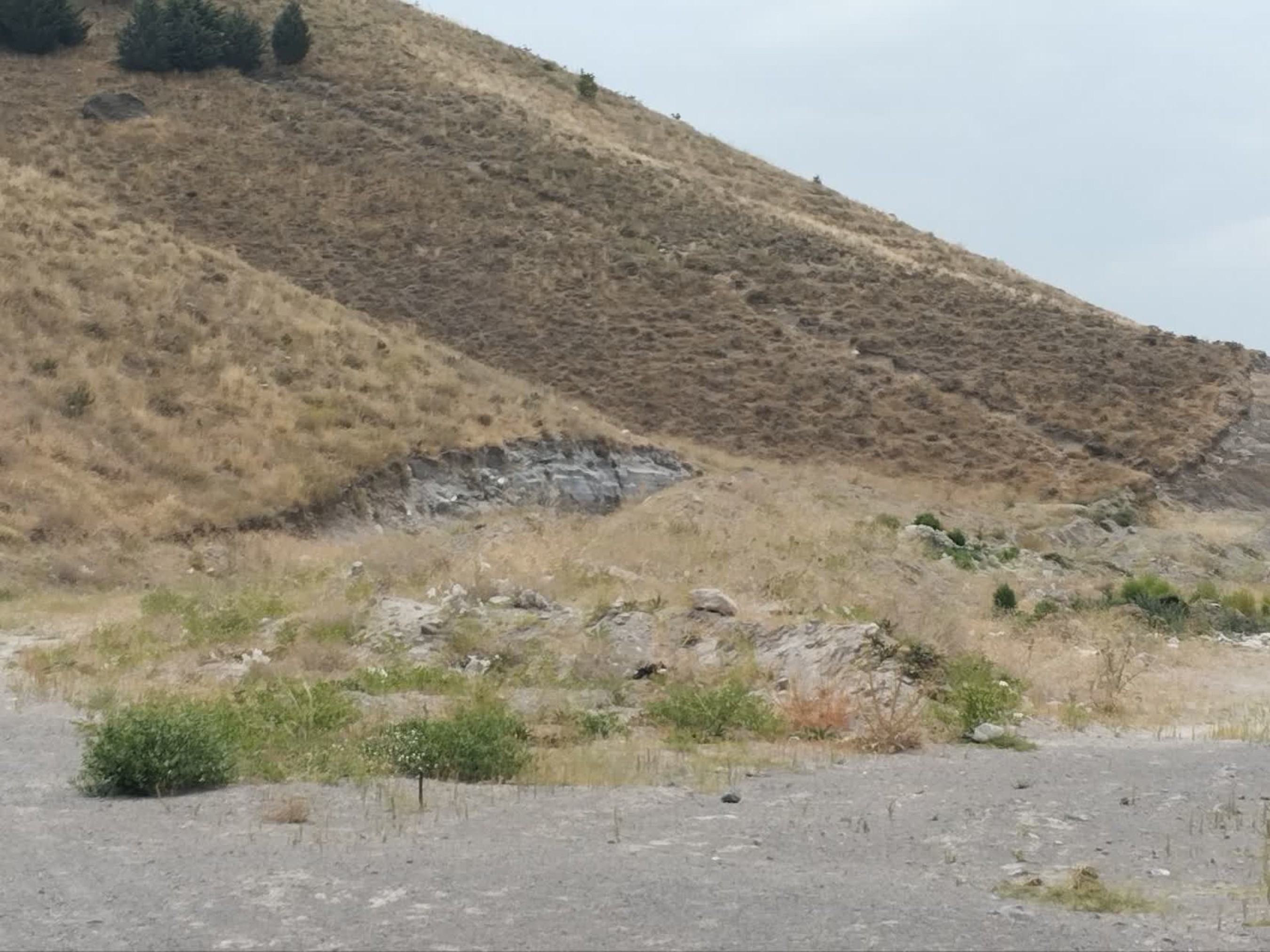 تصاویر زمین اختصاصی پروژه خوابگاه متاهلی