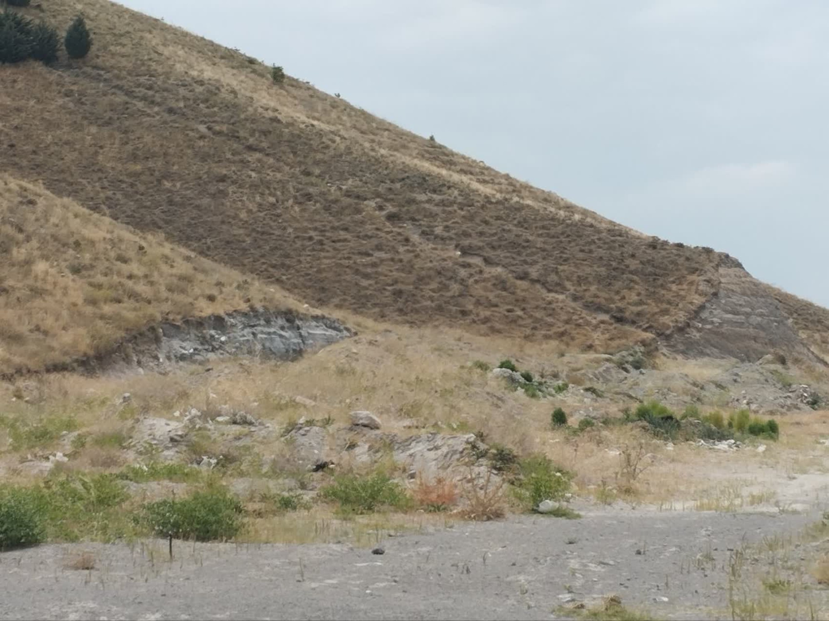 تصاویر زمین اختصاصی پروژه خوابگاه متاهلی