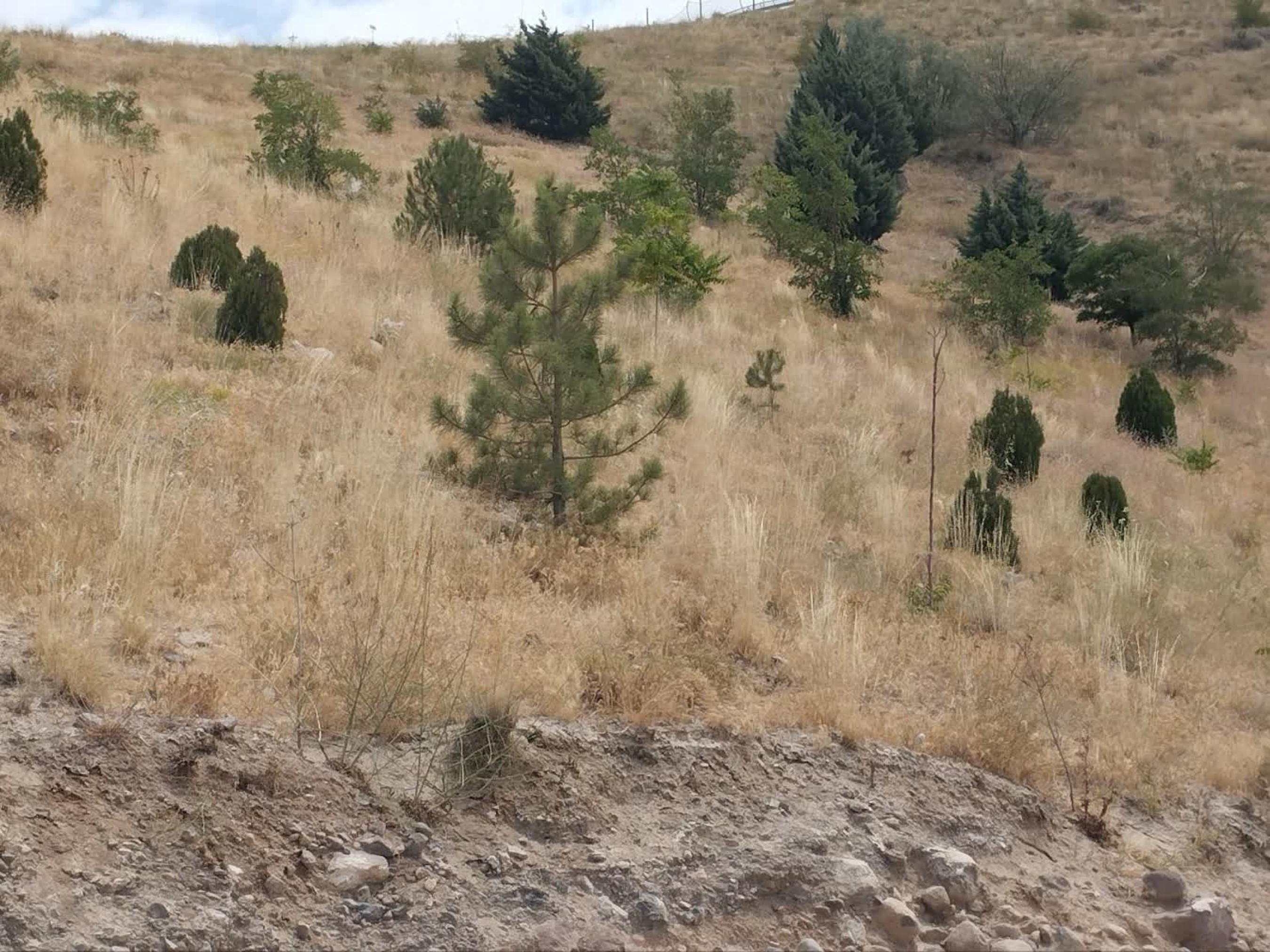 تصاویر زمین اختصاصی پروژه خوابگاه متاهلی