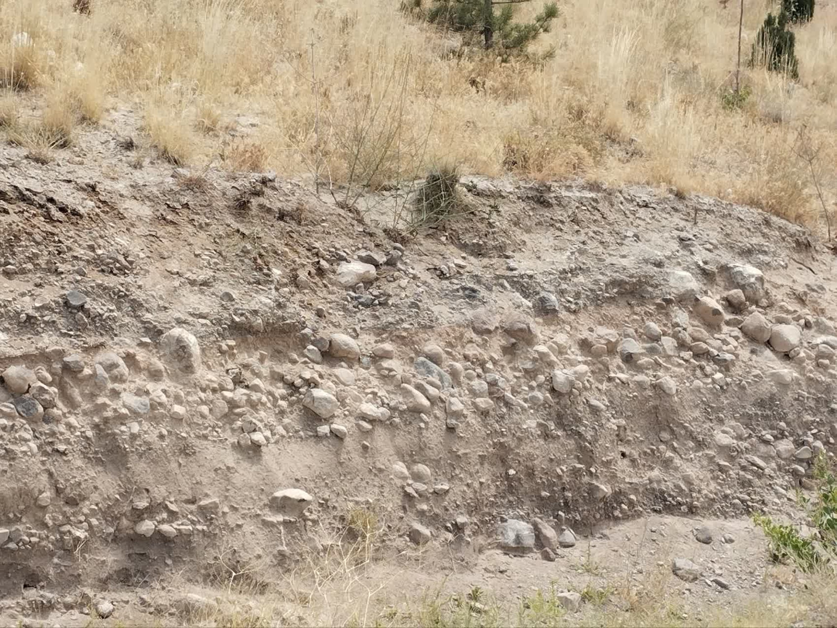 تصاویر زمین اختصاصی پروژه خوابگاه متاهلی