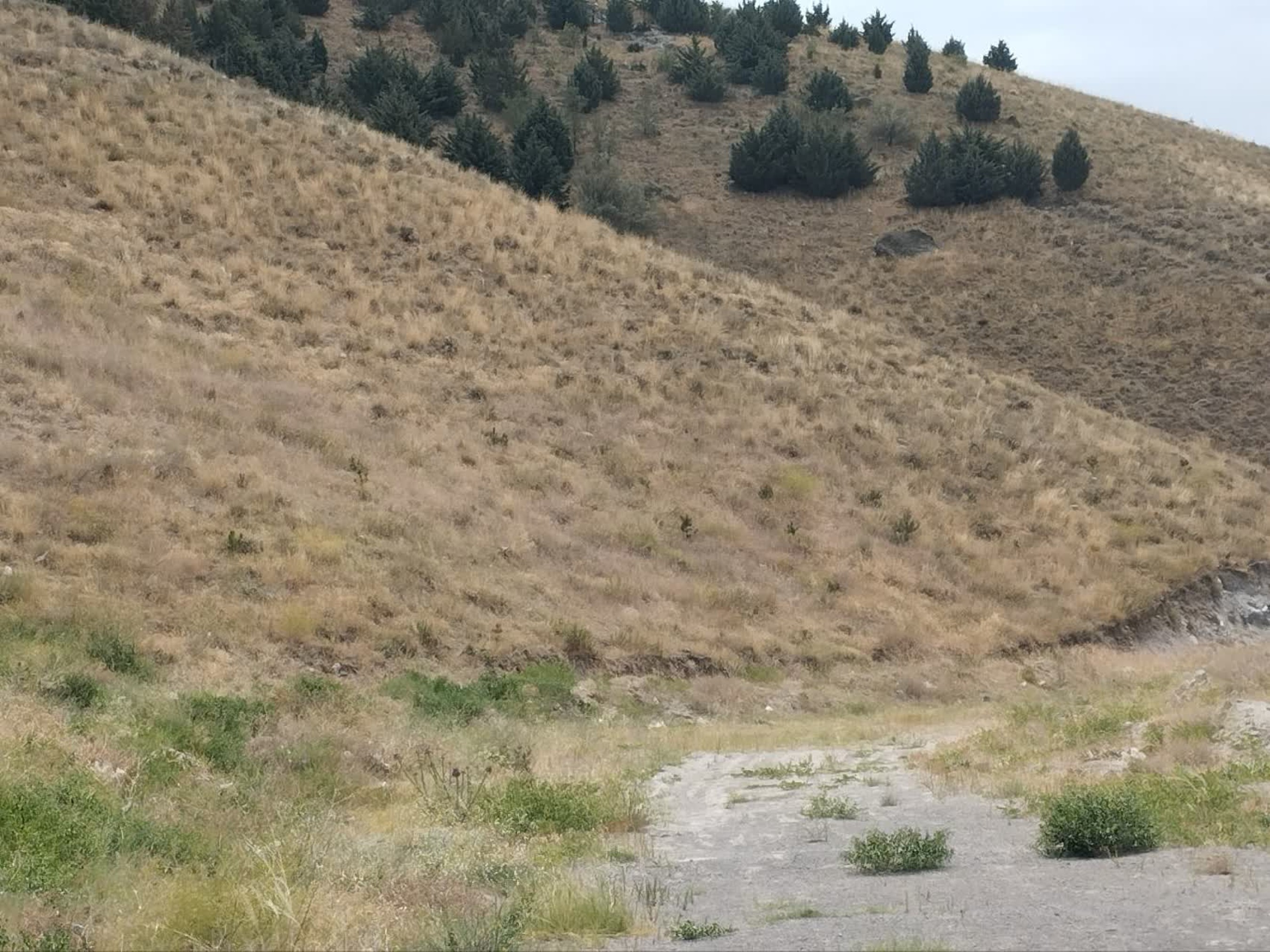 تصاویر زمین اختصاصی پروژه خوابگاه متاهلی