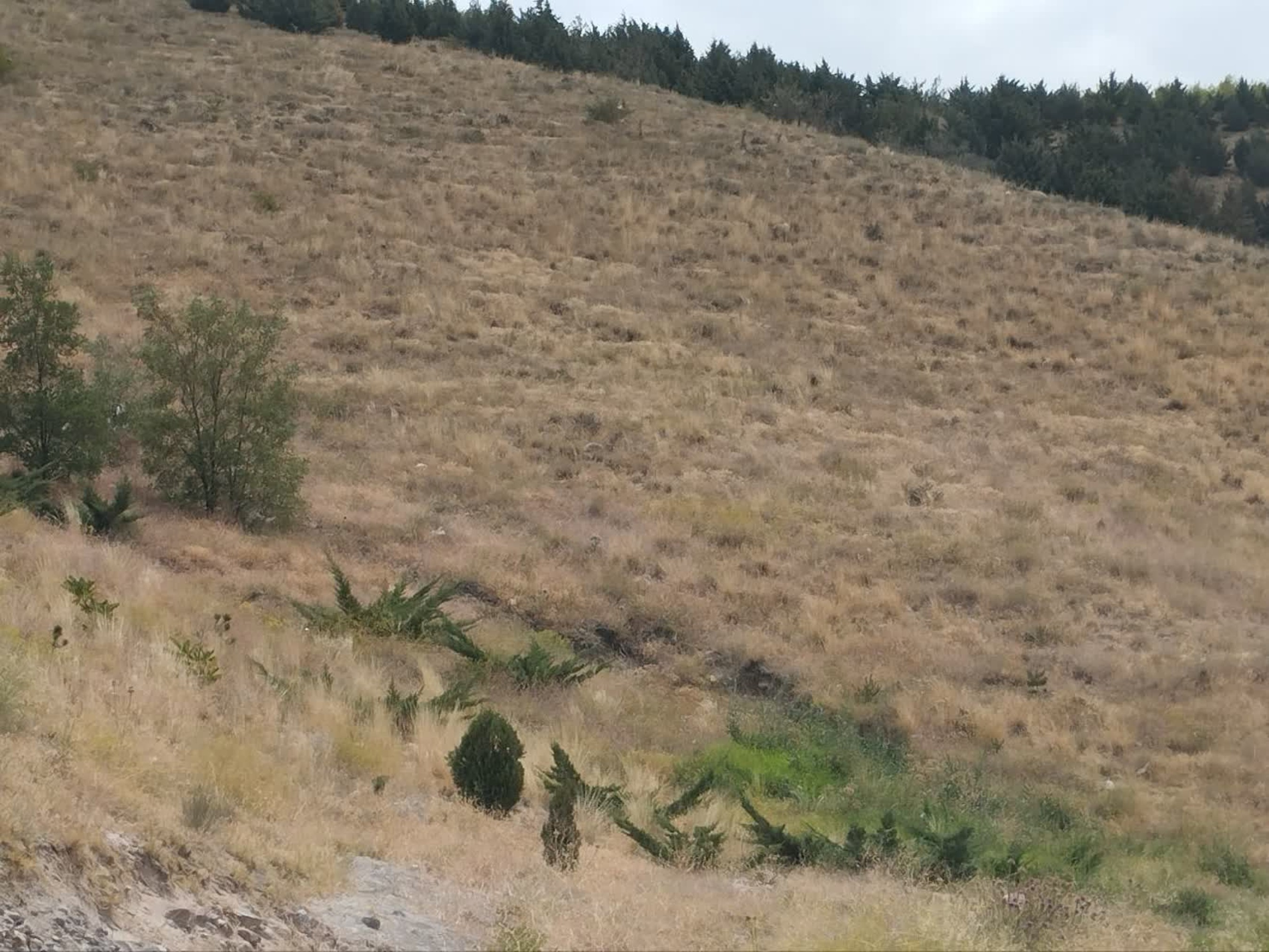 تصاویر زمین اختصاصی پروژه خوابگاه متاهلی