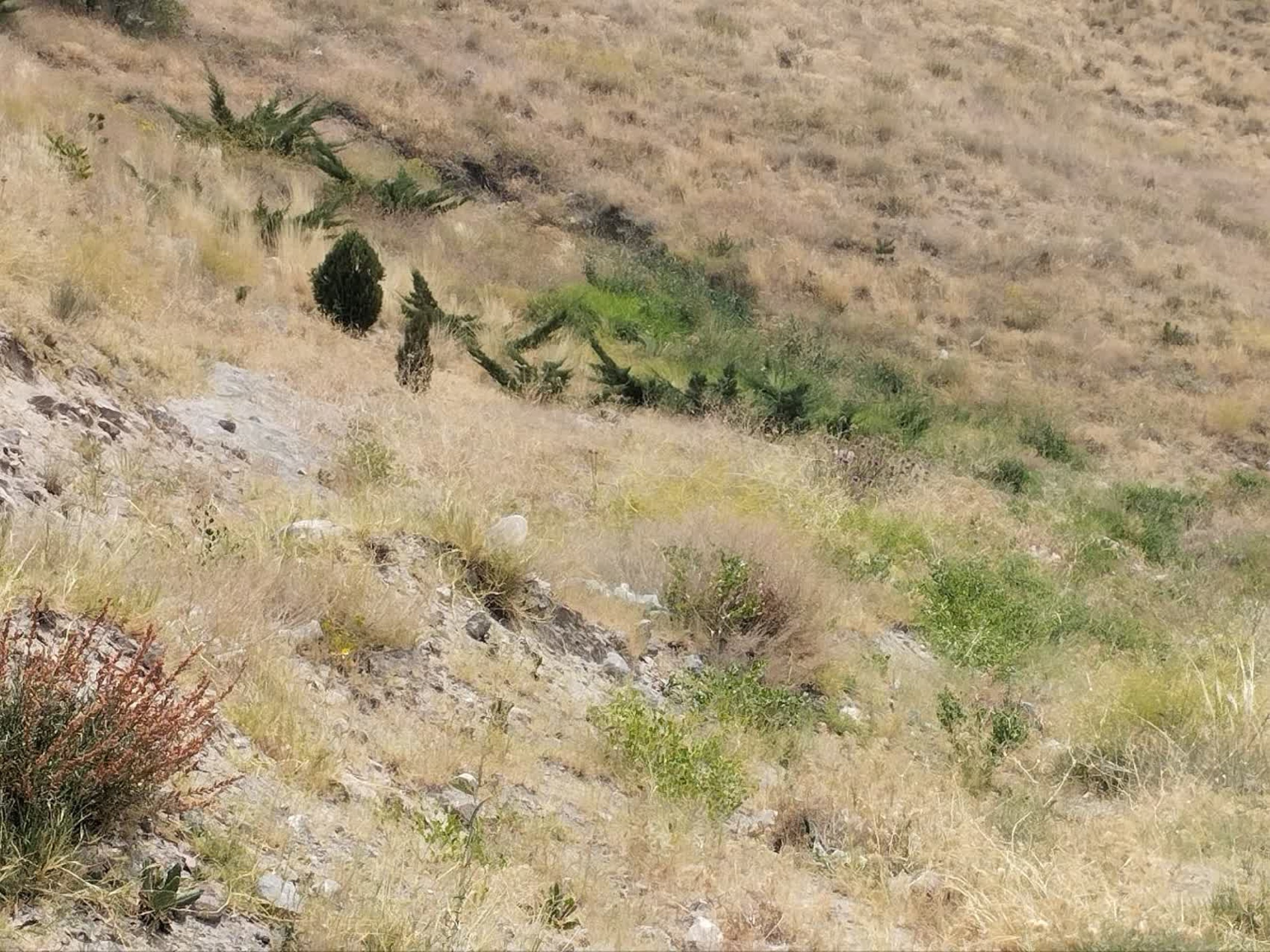 تصاویر زمین اختصاصی پروژه خوابگاه متاهلی