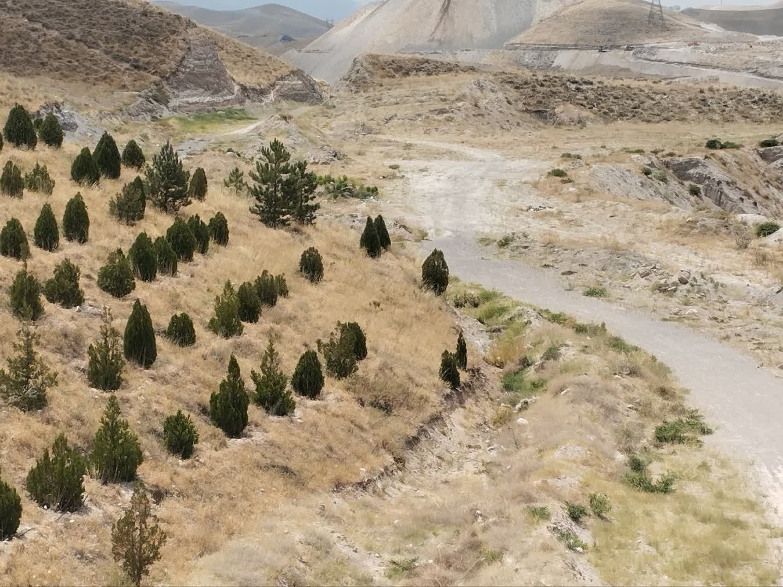 تصاویر زمین اختصاصی پروژه خوابگاه متاهلی