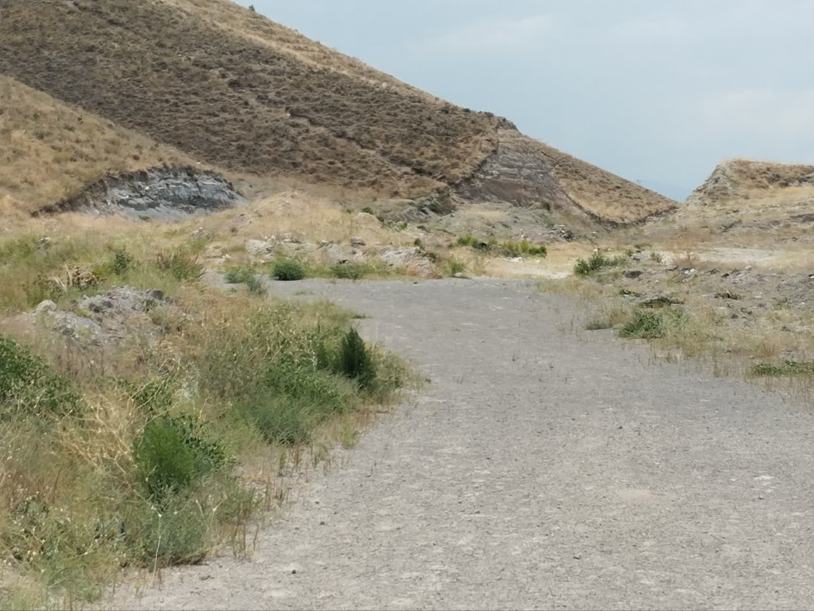 تصاویر زمین اختصاصی پروژه خوابگاه متاهلی