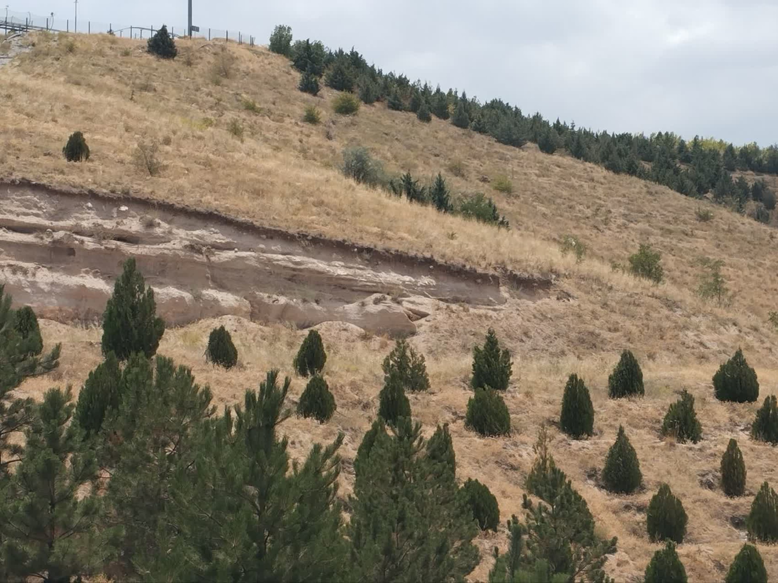 تصاویر زمین اختصاصی پروژه خوابگاه متاهلی