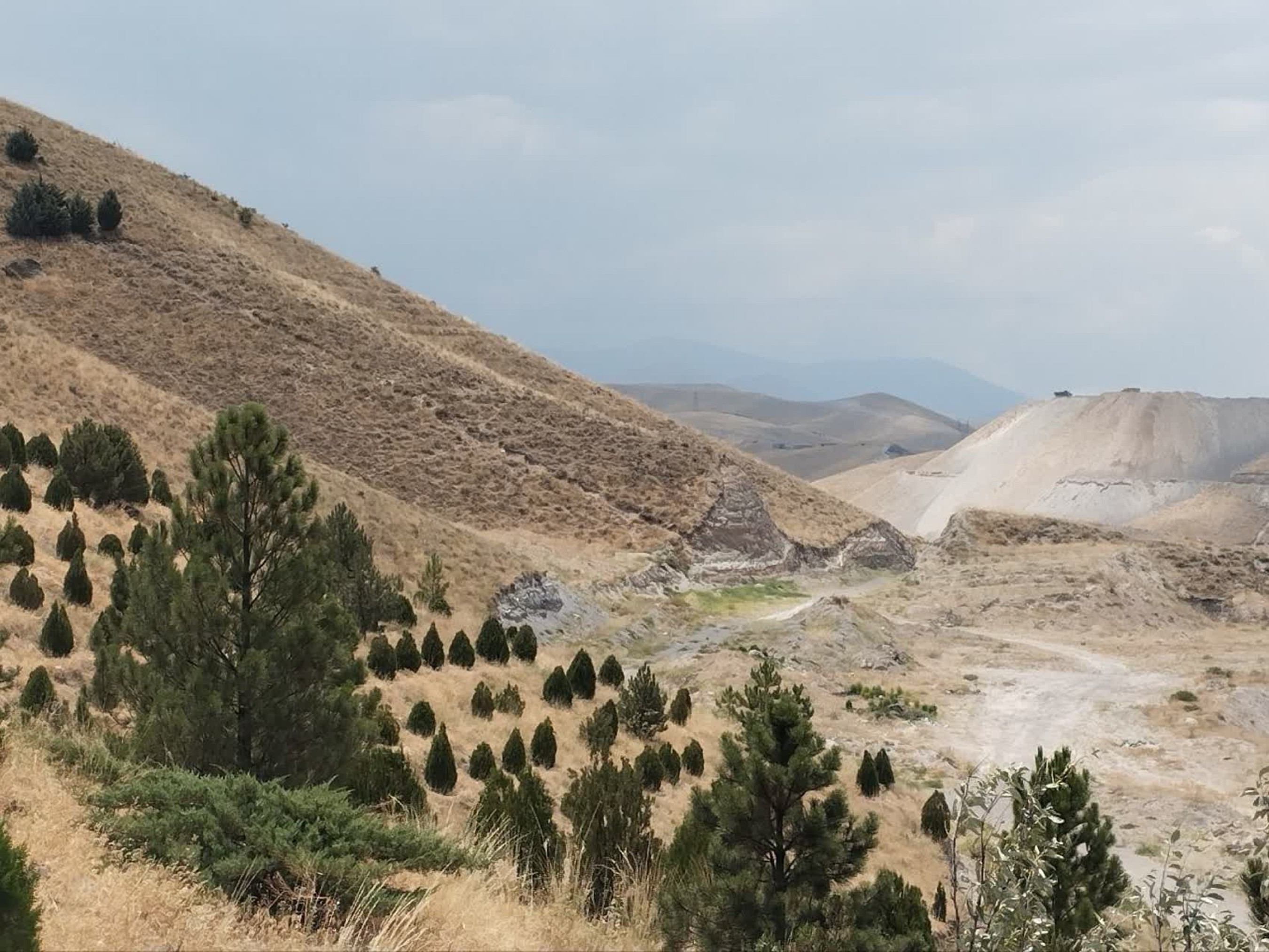 تصاویر زمین اختصاصی پروژه خوابگاه متاهلی