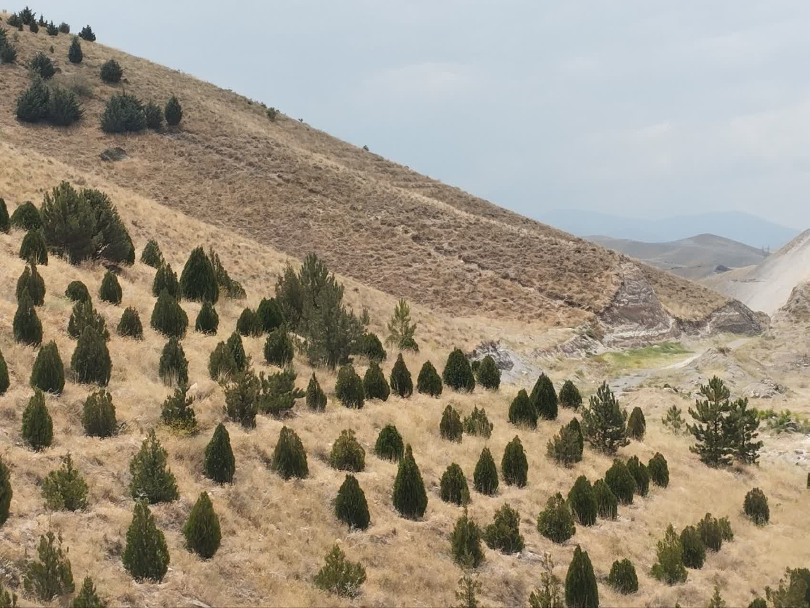 تصاویر زمین اختصاصی پروژه خوابگاه متاهلی