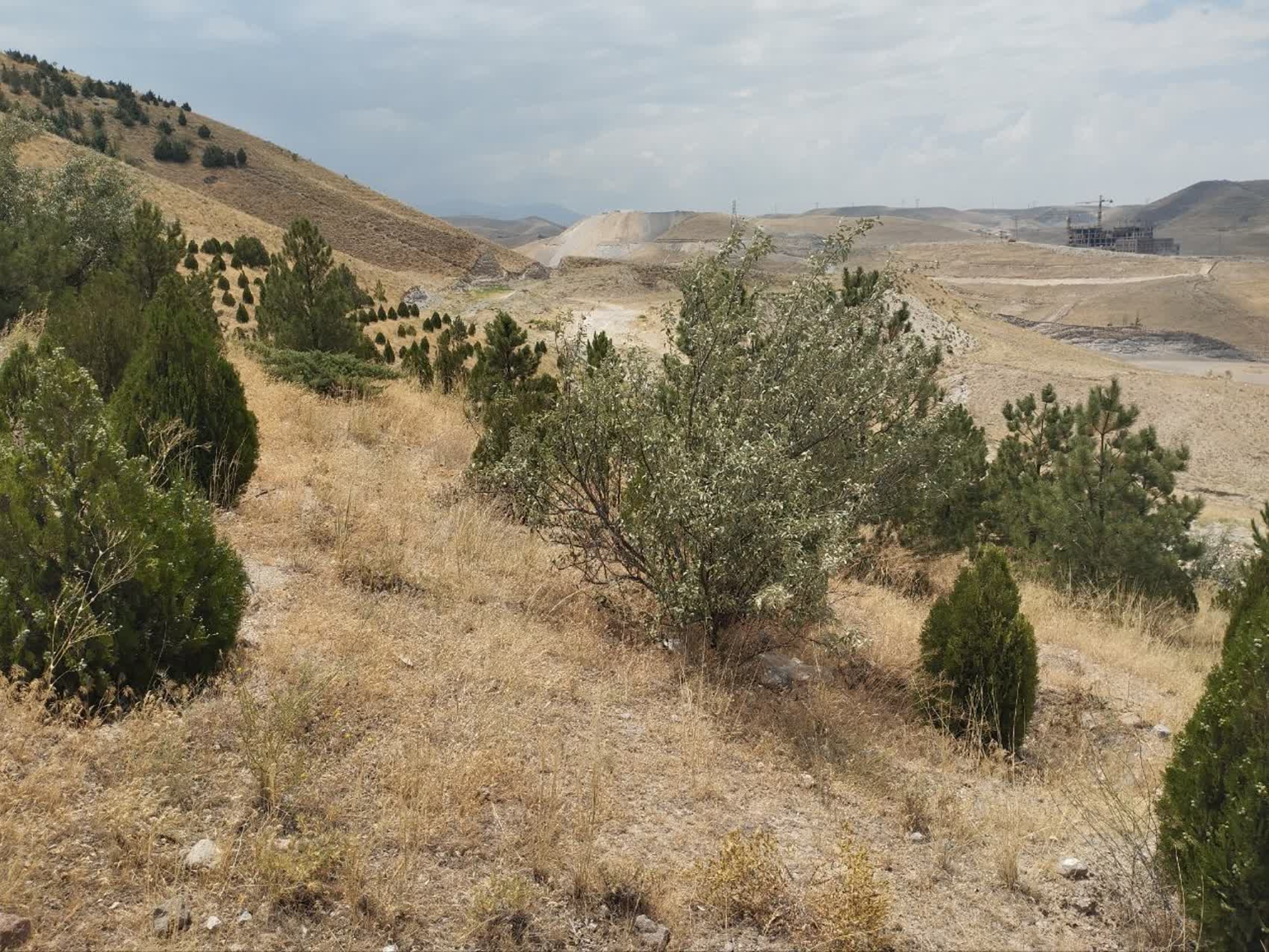 تصاویر زمین اختصاصی پروژه خوابگاه متاهلی