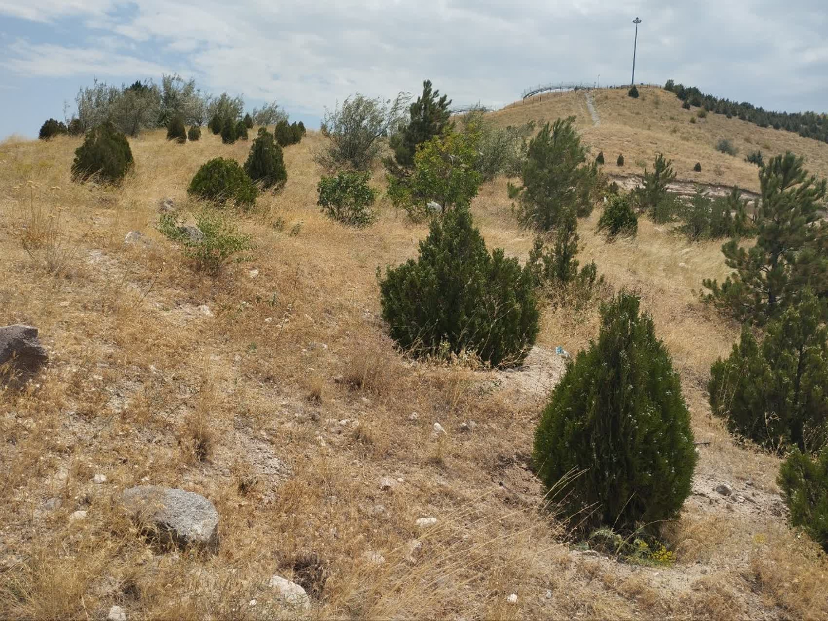 تصاویر زمین اختصاصی پروژه خوابگاه متاهلی