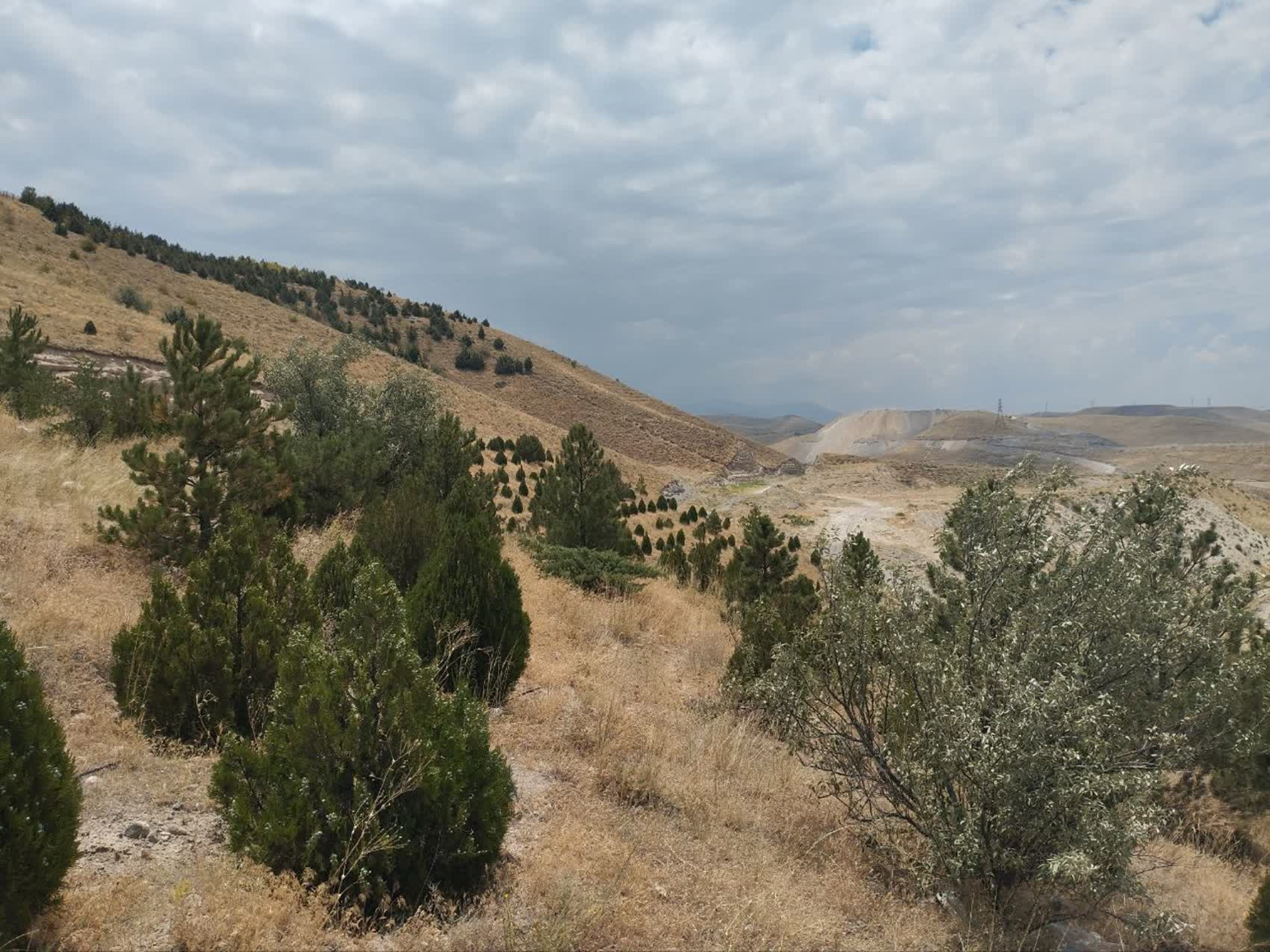 تصاویر زمین اختصاصی پروژه خوابگاه متاهلی