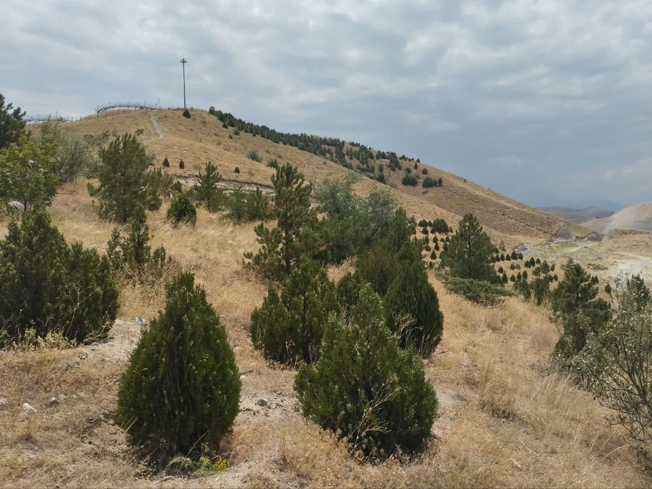 تصاویر زمین اختصاصی پروژه خوابگاه متاهلی